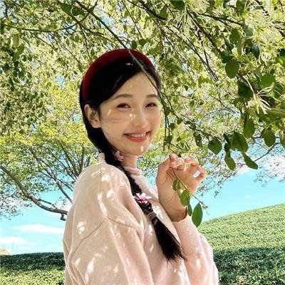 宫锁珠帘